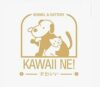 Lowongan Kerja Dokter Hewan di Kawaii Ne Kennel n Cattery