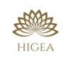 Lowongan Kerja Sales & Marketing di Higeanis