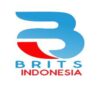 Lowongan Kerja Tentor (Freelance) di BRITS Indonesia