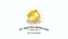 Lowongan Kerja Technical Service & Sales Representative – Admin Pajak di PT. Sentra Gemilang Mulia - Yogyakarta
