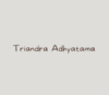 Lowongan Kerja Asisten General Manager – Marketing Online di Triandra Adhyatama