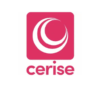 Lowongan Kerja Sales Marketing – Web Developer di PT. Cerise