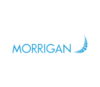 Lowongan Kerja DVA (Data Visual Analyst) di PT. Morrigan Services