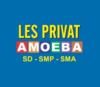 Lowongan Kerja Tentor SD/SMP/SMA di Les Privat Amoeba SD-SMP-SMA