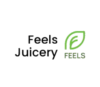 Lowongan Kerja Finance di Feels Juicery
